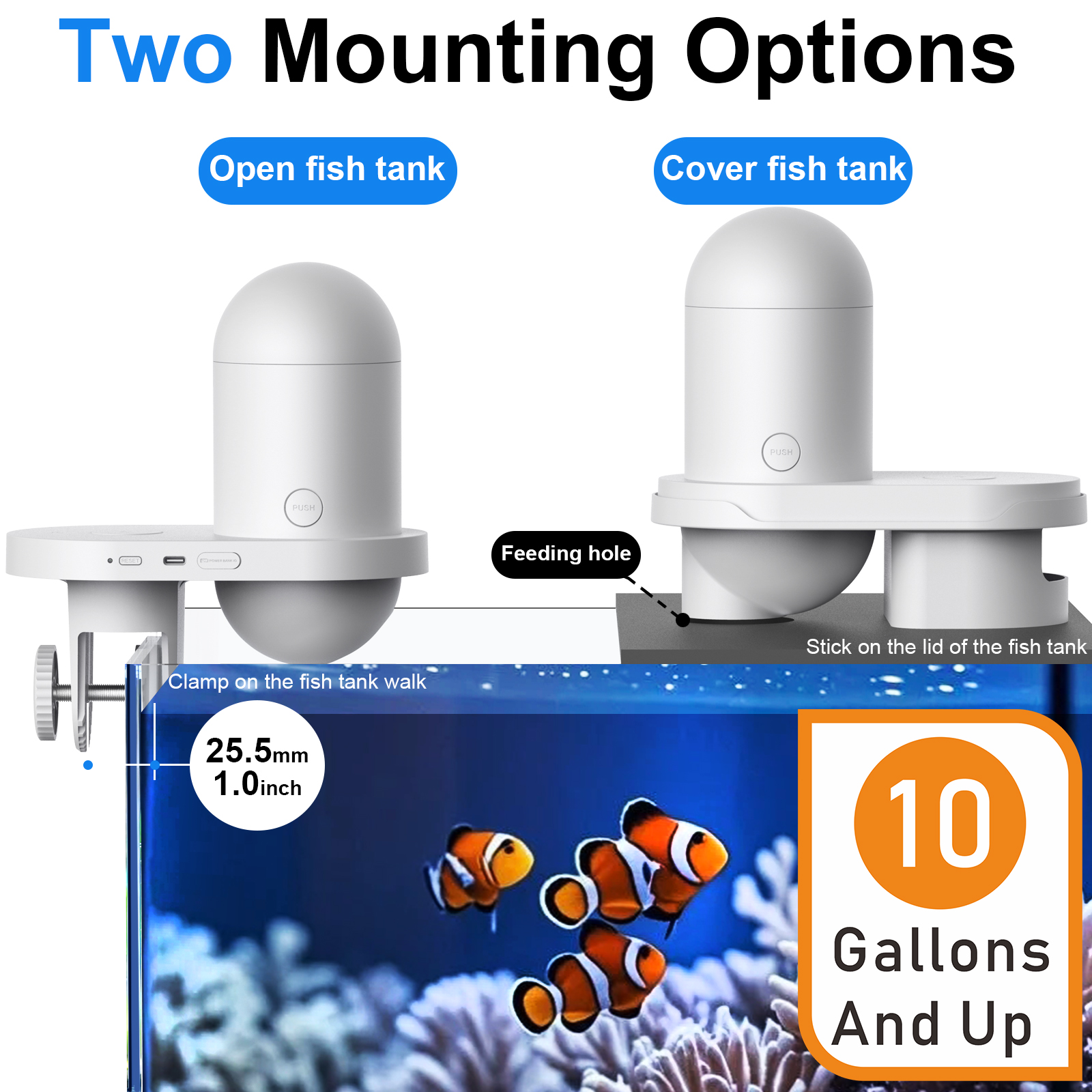 Automatic Fish Feeder With Cam - Fishing Line Dispenser ulasan dan harga