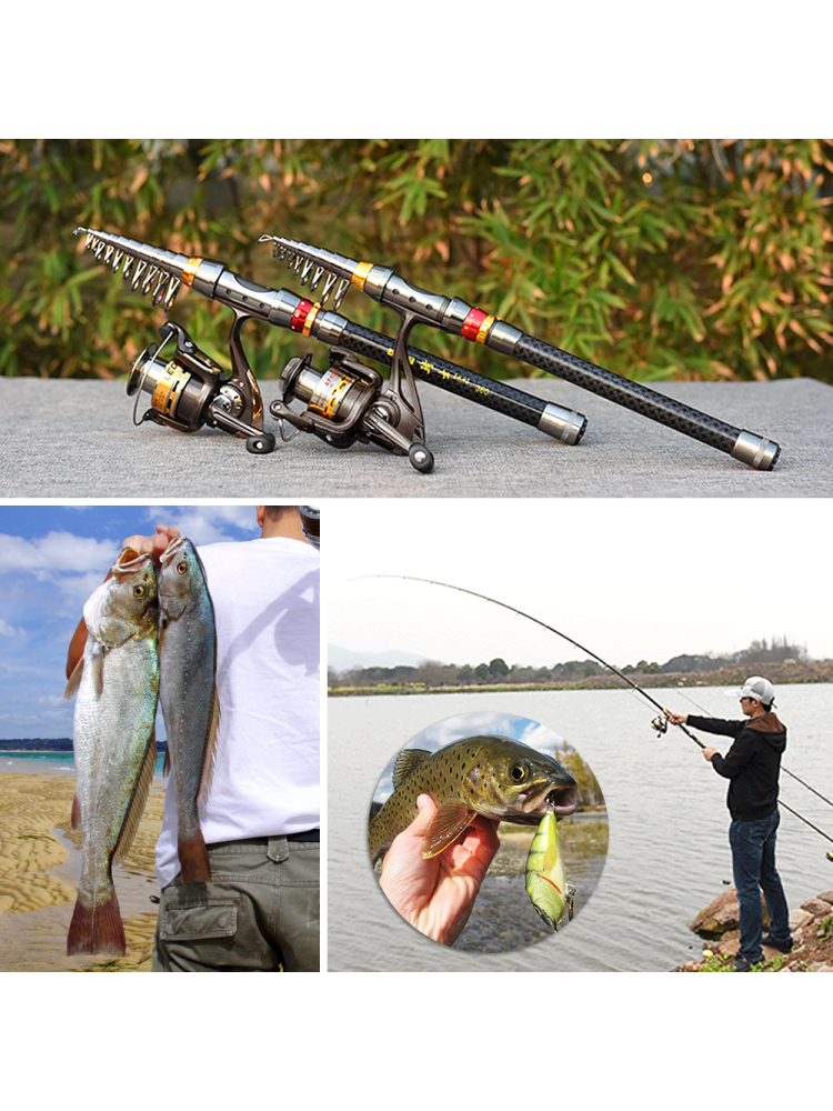 Fishing Rod Spinning Reel Comb - Freshwater Line ulasan dan harga
